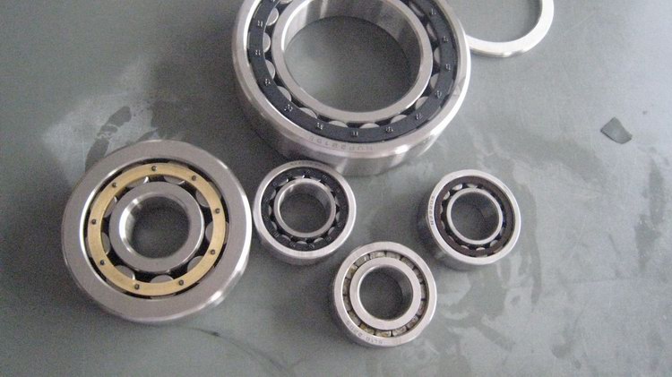 Precision Cylindrical Roller Bearings